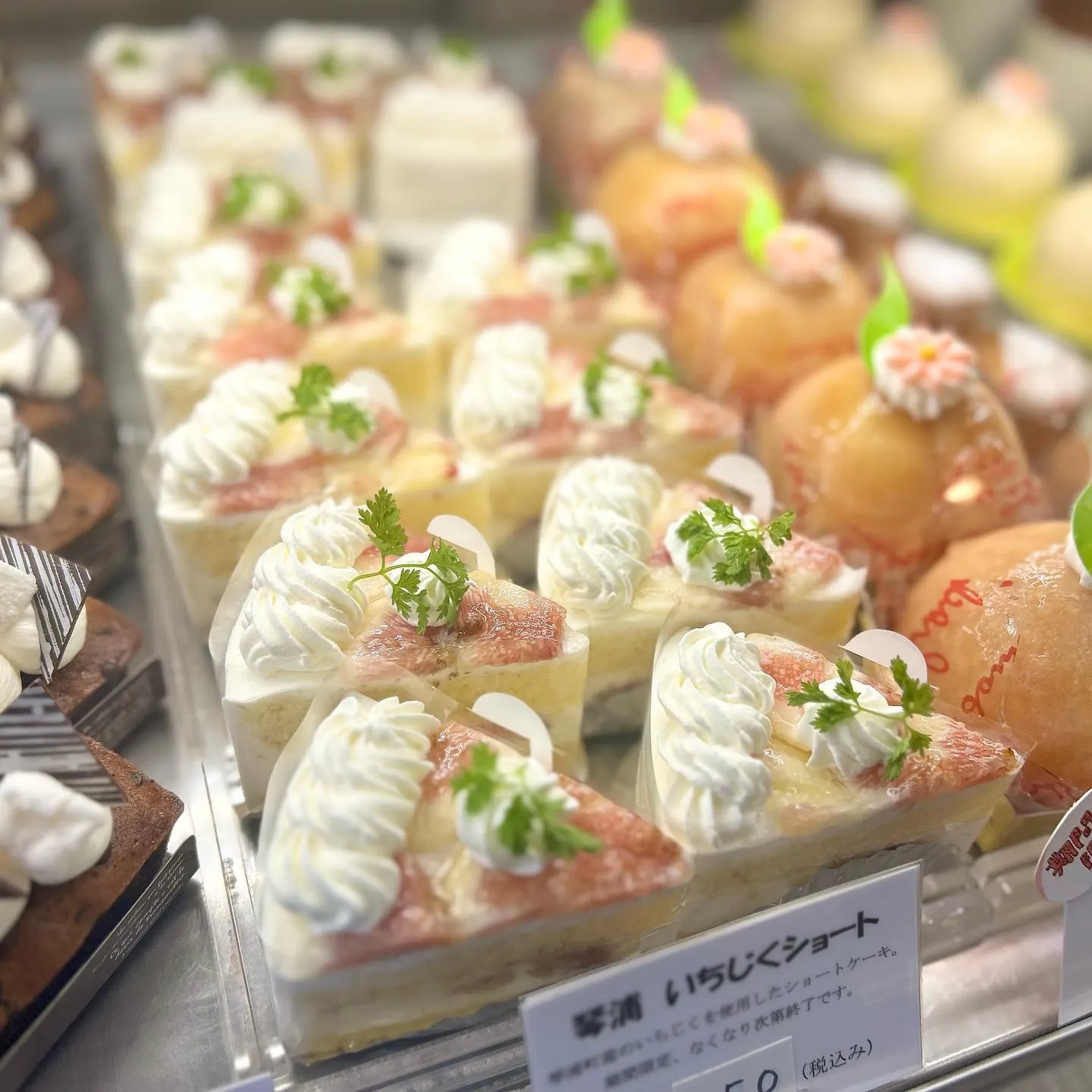 今日から琴浦産のいちじくが始まります☺️