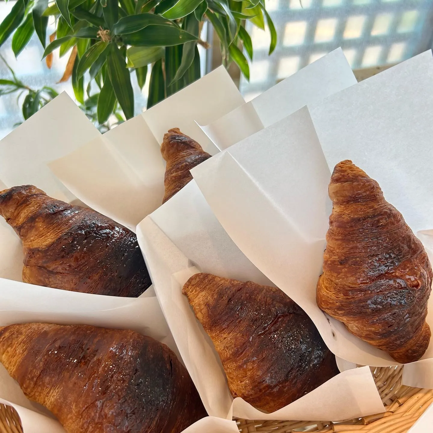 フルーツ杏仁間もなく終了します🍐