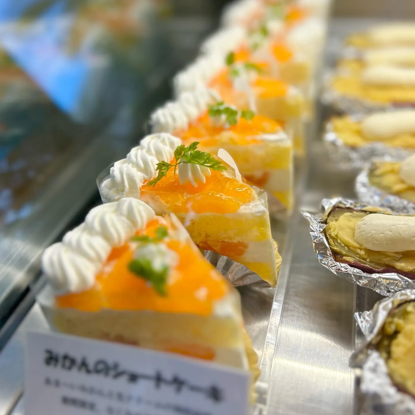 まぶしい朝にwow wow chance🍊✨️