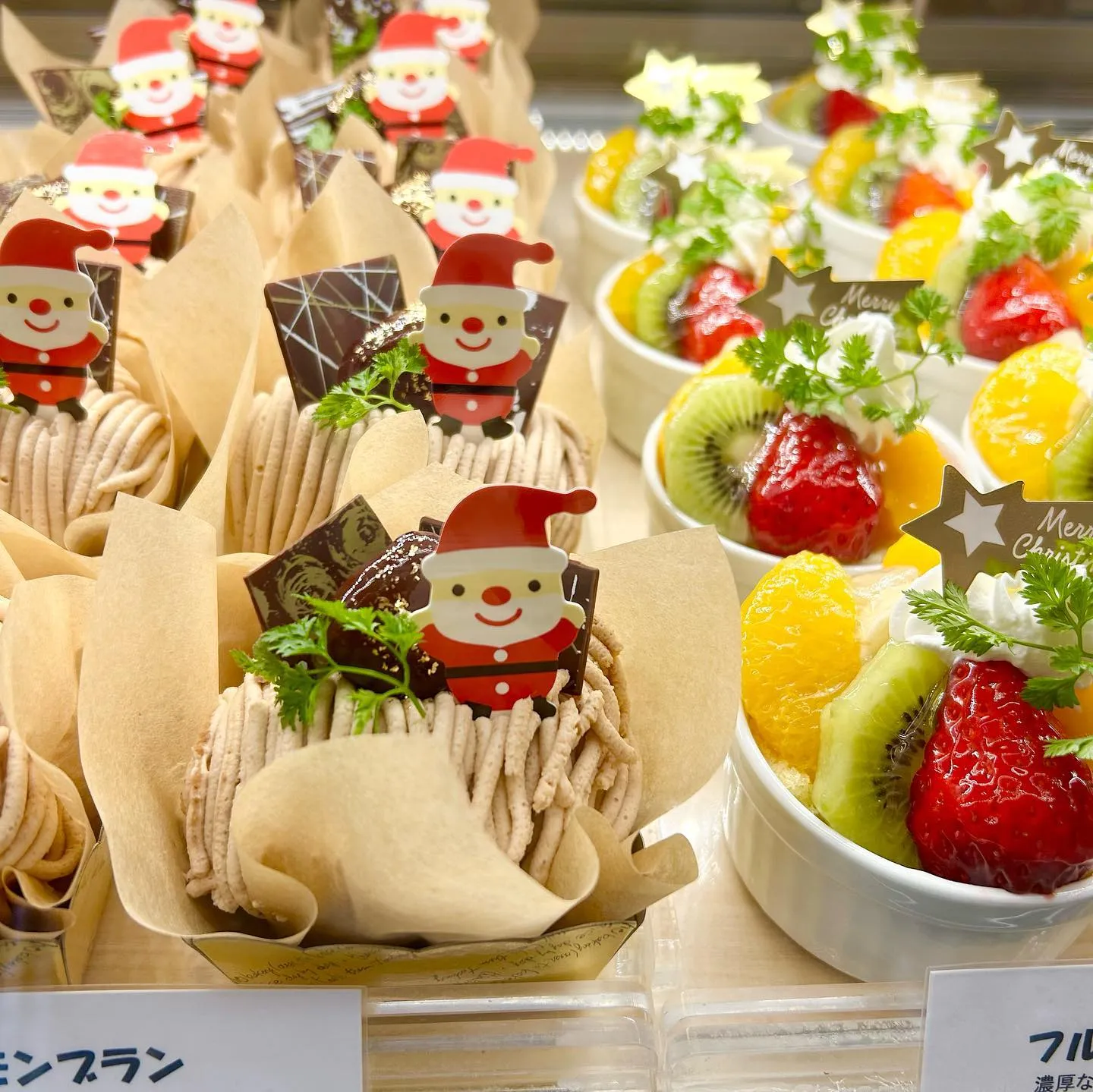 ショーケースがクリスマスになりました🎅🎄