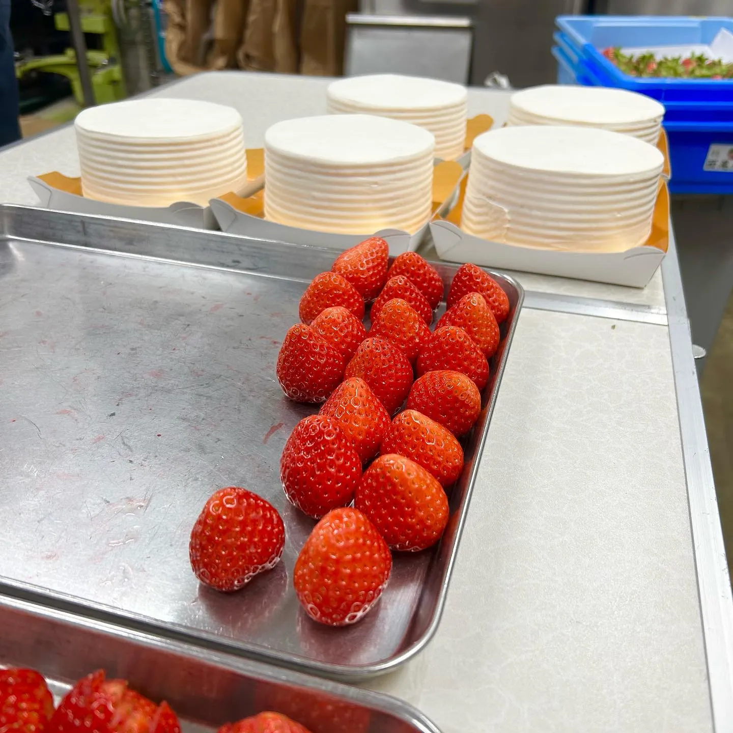 またまた!王様が出ましたよ👑🍓
