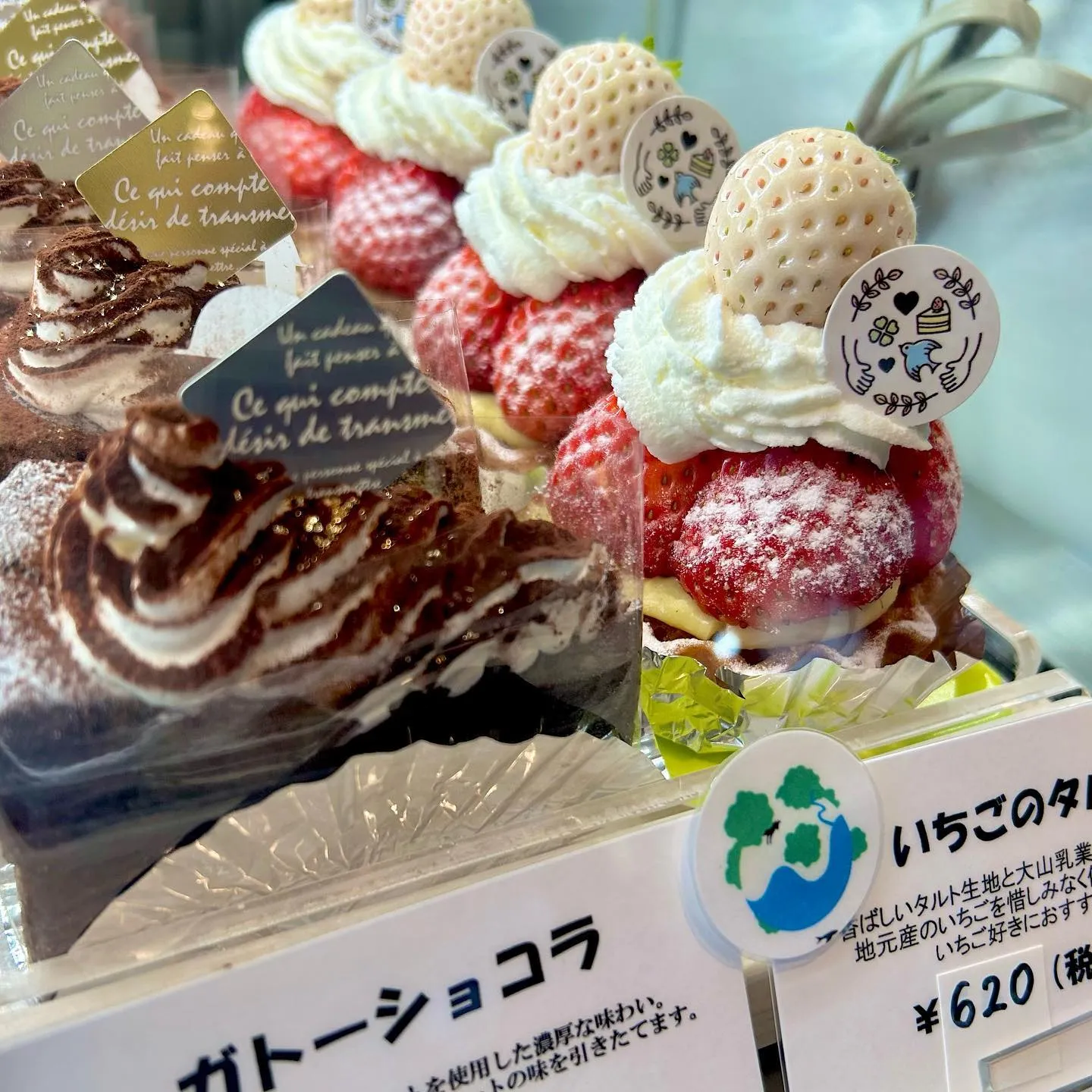 注目が集まるサンマルク👀
