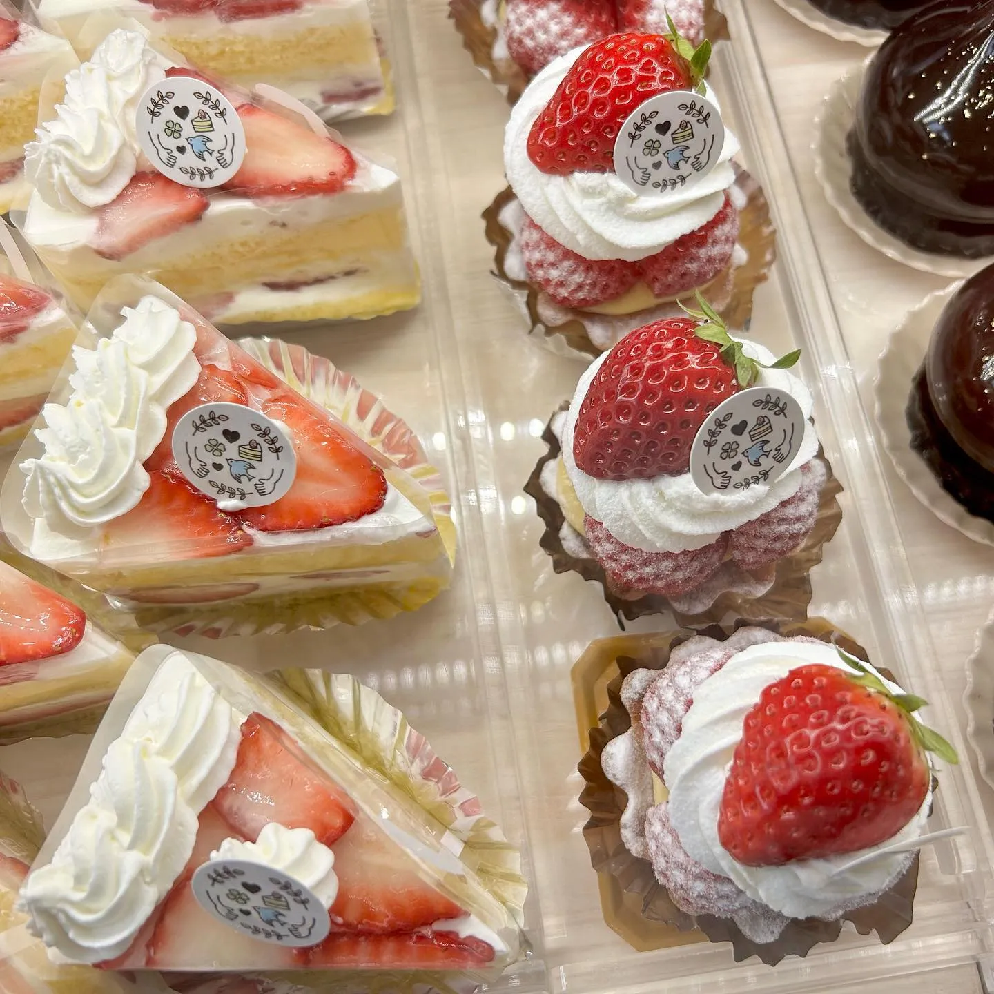 ご卒業おめでとうございます🎓💐