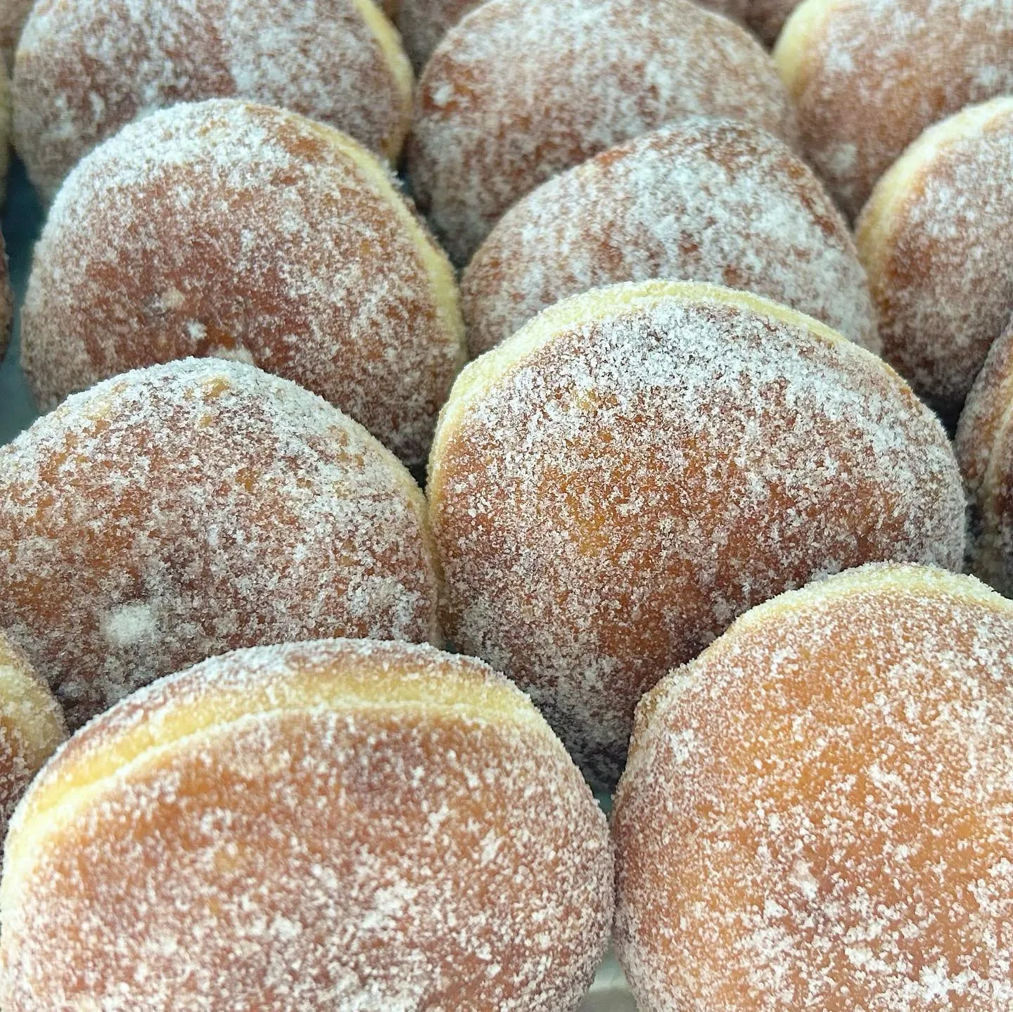 大人気の生ドーナツをたくさんご用意しました🍩！