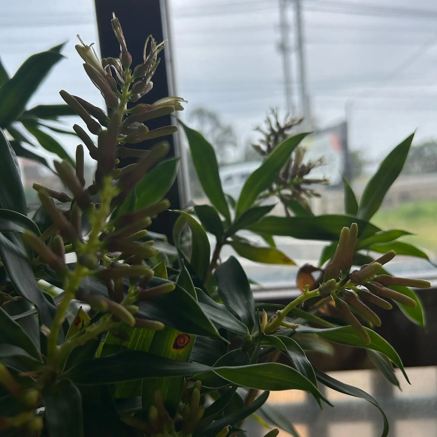 3月もたくさんのお客様にご来店頂きありがとうございました!