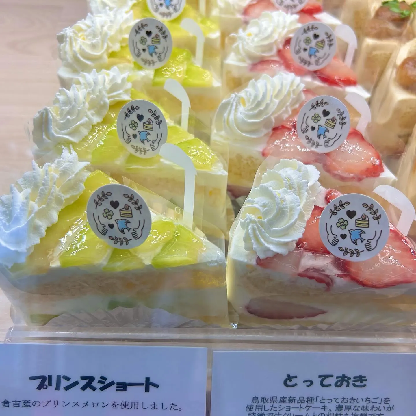 ぽこぽこバナナプロジェクト🔍