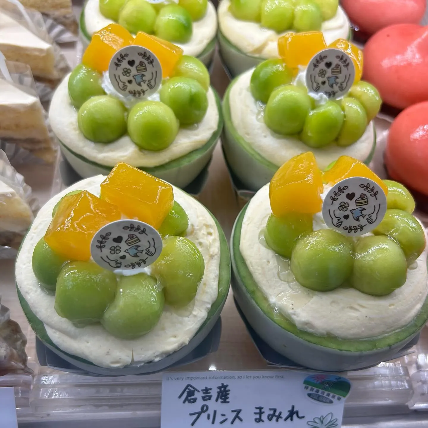 ぽこぽこバナナプロジェクト🔍