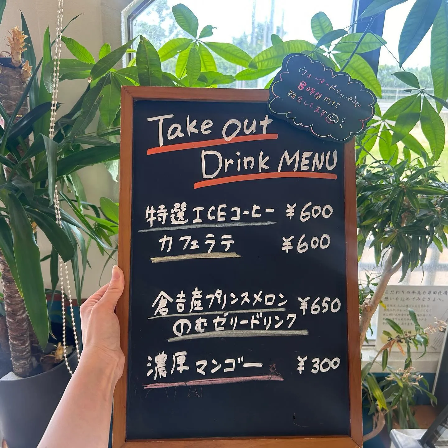 本日よりテイクアウトドリンクを販売します☕️✨️