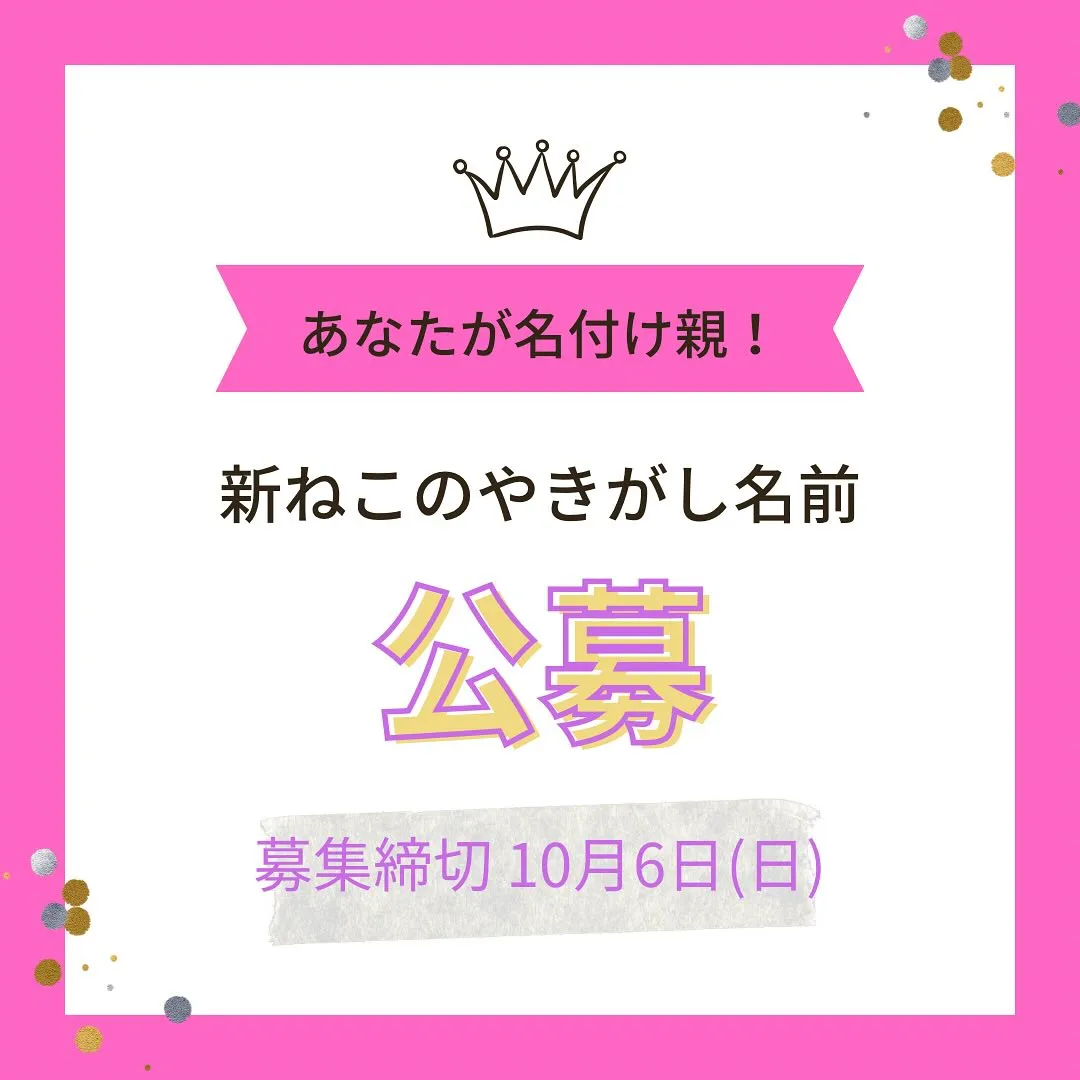 またまた登場!モンテのモンスターケーキ👾👾👾