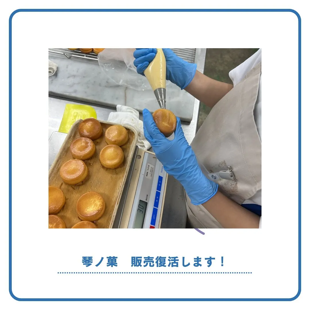 琴ノ菓!販売復活します!
