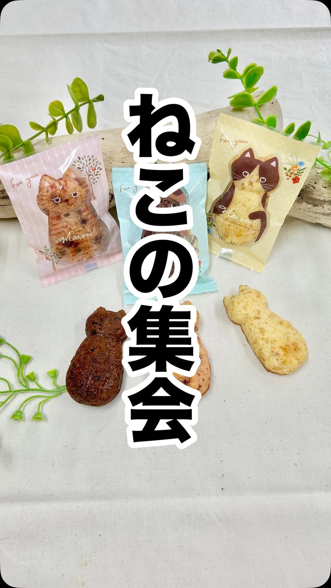 @patisseriemonte◁他の投稿コチラから